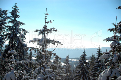 Schnee in den Bergen im Winter