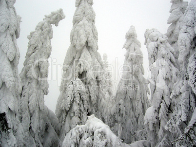 Schnee in den Bergen im Winter