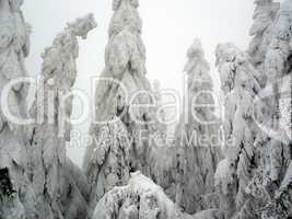 Schnee in den Bergen im Winter