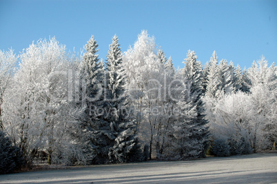 Schnee in den Bergen im Winter