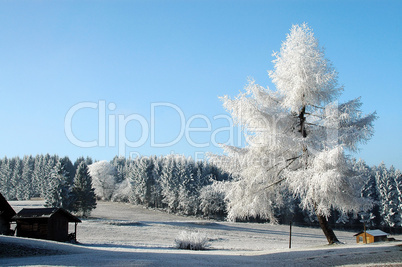 Schnee in den Bergen im Winter