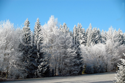 Schnee in den Bergen im Winter