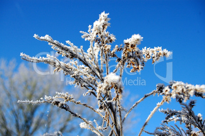 Schnee in den Bergen im Winter