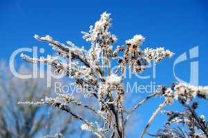 Schnee in den Bergen im Winter