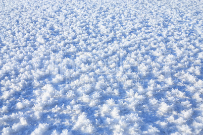 frost on the frozen lake