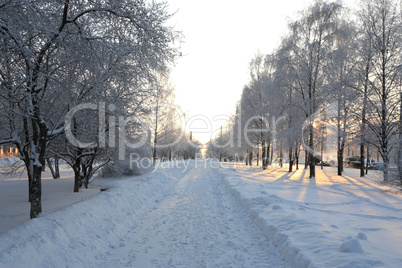 winter alley