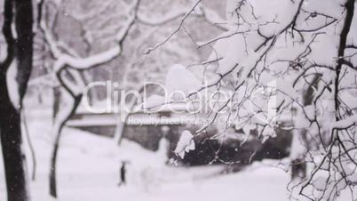 NY Central Park under snowfall