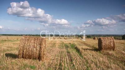 Straw bales