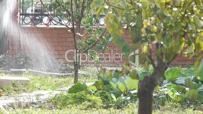 Gardener irrigating the soil.