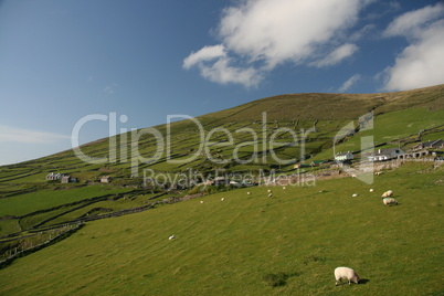 Landschaft Irland