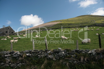 Landschaft Irland