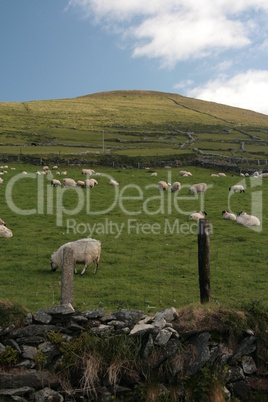 Landschaft Irland