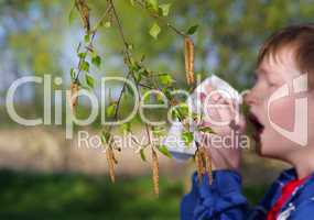 Allergie gegen Birkenpollen