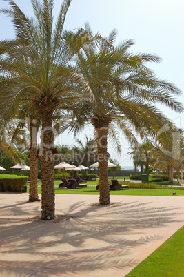 Recreation area and beach of luxury hotel, Dubai, UAE