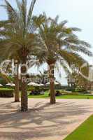 Recreation area and beach of luxury hotel, Dubai, UAE