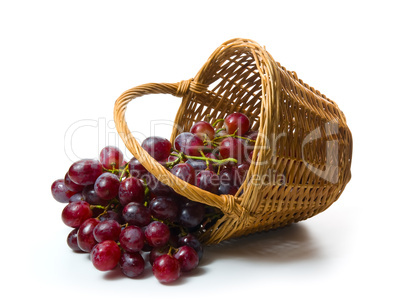 grapes in basket