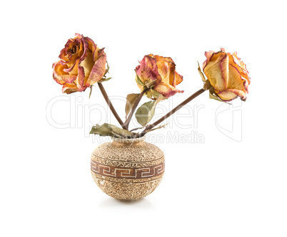 roses in ceramic vase