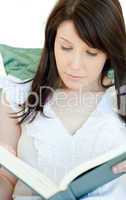 Beautiful young woman reading a book