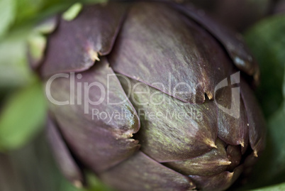 Colors of Artichokes