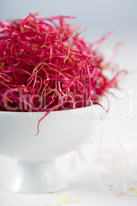 Beetroot sprouts