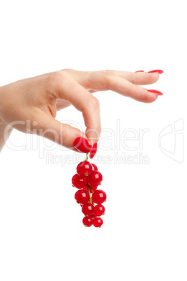 Holding the currants