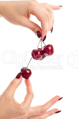 Picking cherries