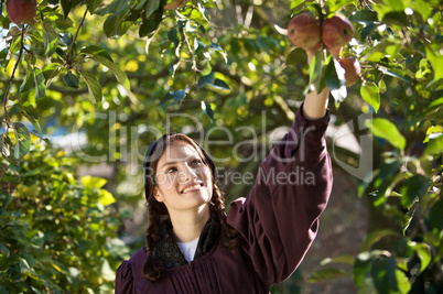 Woman picking the apples