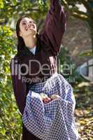 Woman picking the apples