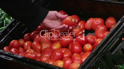 Woman Selecting Tomatoes In Produce