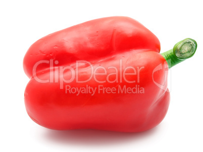 Bell pepper