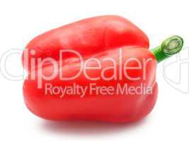 Bell pepper