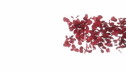 Romantic rose petals heart on white background