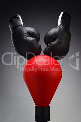 Boxing Equipment