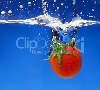 baby Tomato Splash
