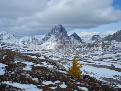 Burstall Pass 1