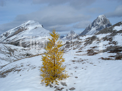 Burstall Pass 2