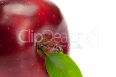 red apple