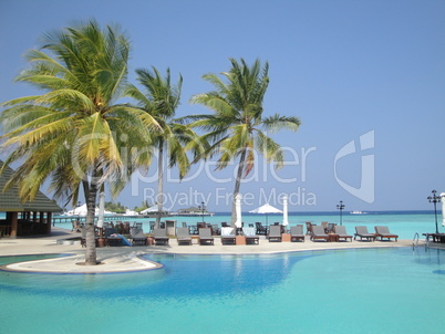 Pool - Paradise Island Resort - Malediven