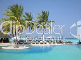 Pool - Paradise Island Resort - Malediven