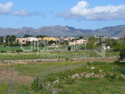 Landschaft bei Alcudia