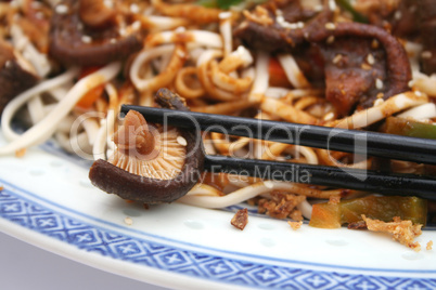 Asiatisch Asiatisch