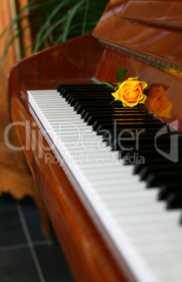 Classic piano