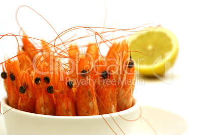 shrimps in a bowl