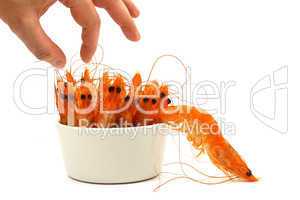 shrimp escape