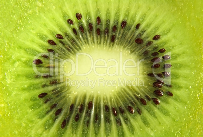 Kiwi fruit