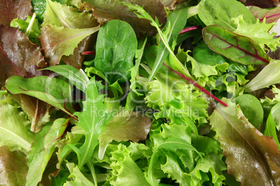 Fresh mixed lettuces, top view