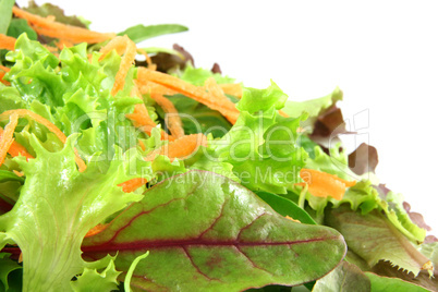 Fresh mixed lettuces, with carrots