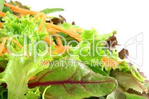 Fresh mixed lettuces, with carrots