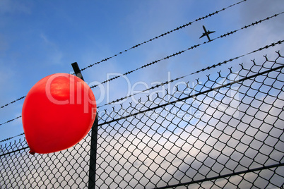 Barbed freedom (Liberté barbelée)