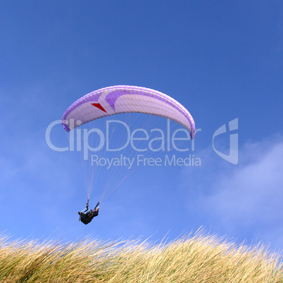 Purple paraglider